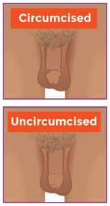 Circumcised Uncircumcised